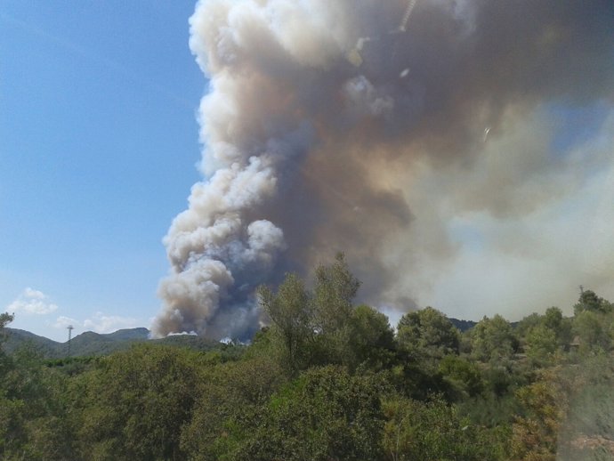 Imagen del incendio en Artana 