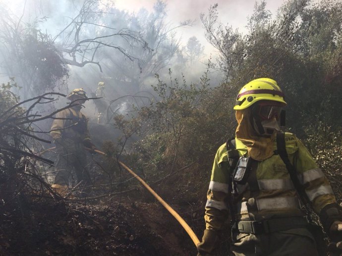 Bomberos trabajando en la extinción del incendio de Artana