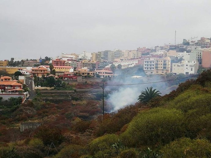 Imagen del incendio de rastrojos en Icod de los Vinos 
