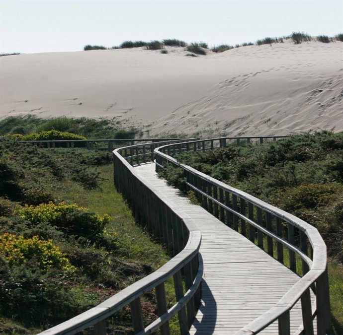 Dunas de L'Espartal. 