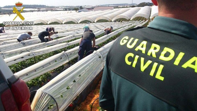 Equipo Roca de la Guardia Civil