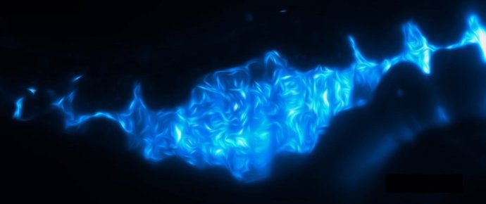 Imágenes del intestino de un pez 