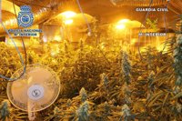 Detenido por venta de marihuana en patinete eléctrico en el paseo marítimo de Fuengirola