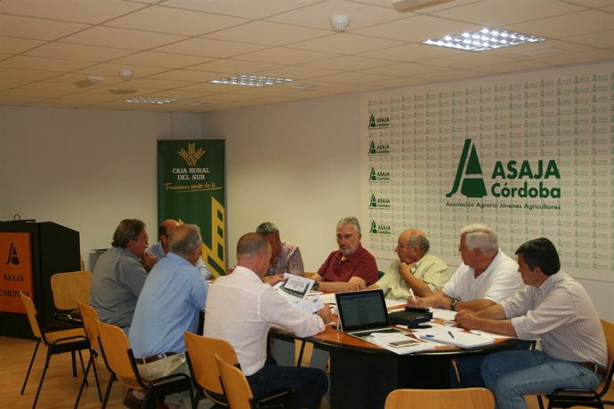 Reunión de la sectorial vitivinícola de Asaja-Córdoba