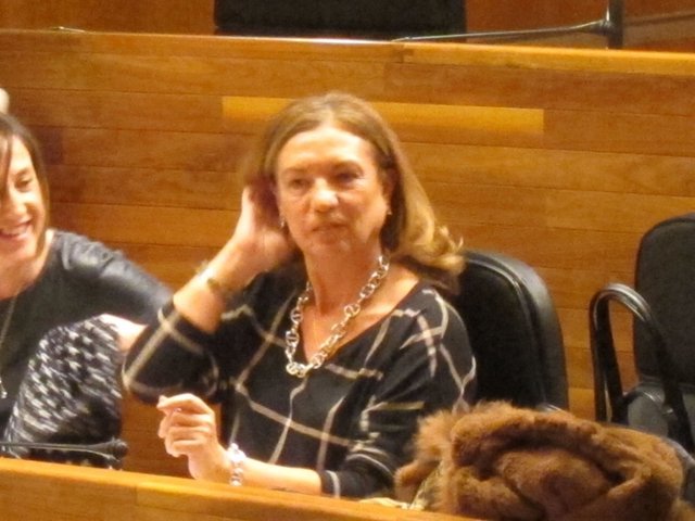 La diputada del PSOE Dolores Campillo