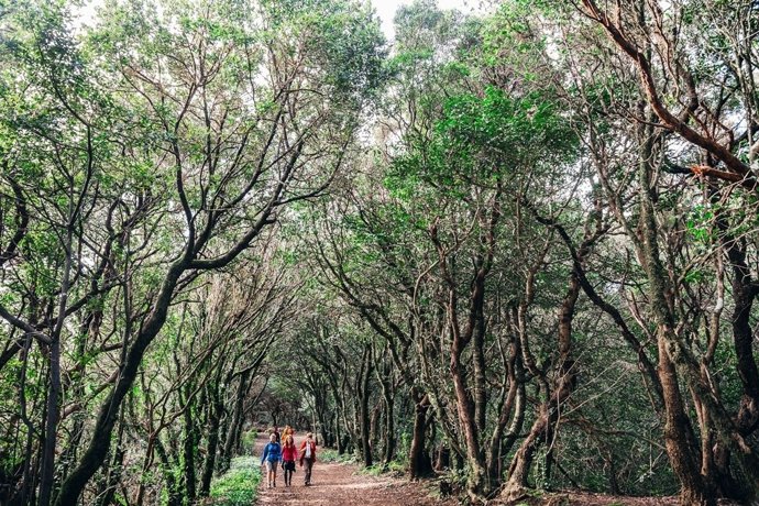 Imagen de parte del recorrido