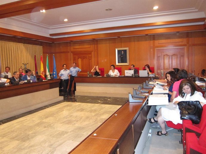 Un momento del Pleno del Ayuntamiento de Córdoba
