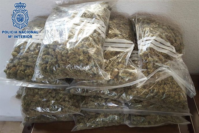Bolsas con cogollos de marihuana decomisados