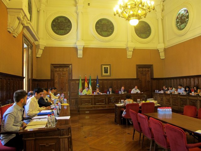 Pleno de  la Diputación de Jaén
