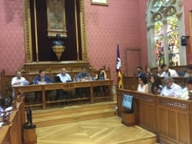 Pleno del Consell de Mallorca