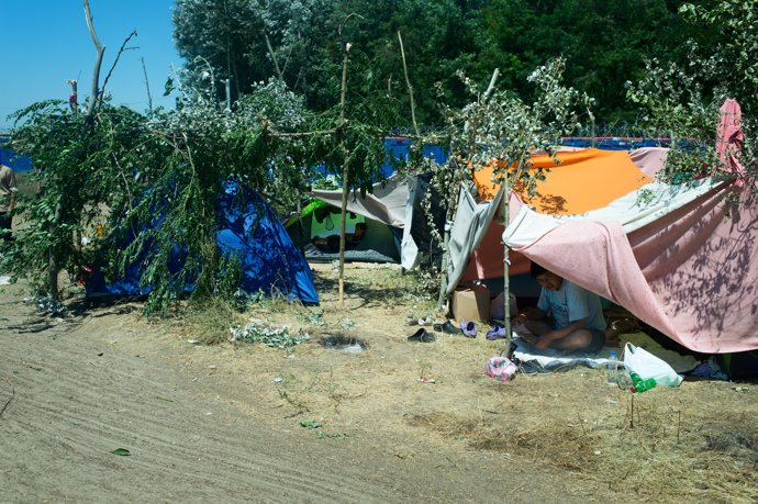Campamento de refugiados en Kelebji,  frontera entre Serbia y Hungría