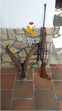 Detenido un cazador furtivo