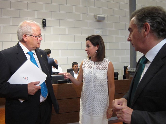 Llanas, Ladrero y Beamonte, en el pleno de la DPZ celebrado este viernes