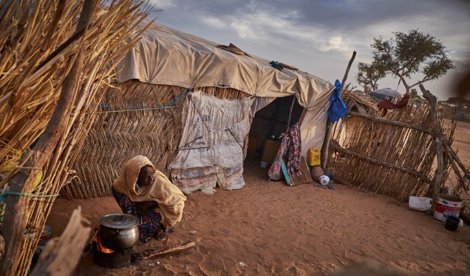 Cooperación y Desarrollo