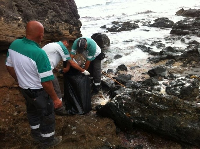 Operarios municipales trabajando en El Confital