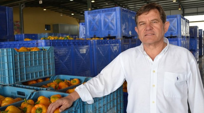 Mariano Zapata_Proexport_pimiento