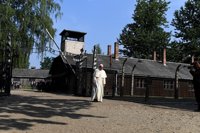 El Papa: "La crueldad no ha terminado en Auschwitz"