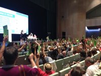 La asamblea aprueba constituir En Marea como partido instrumental para las autonómicas