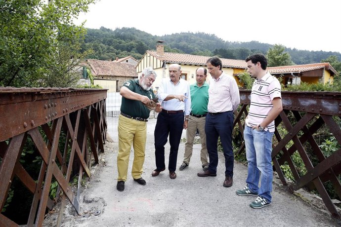 Mazón en el puente de metálico de Helecha