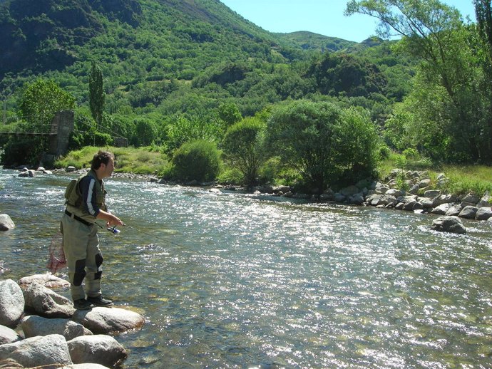 Pesca de trucha en Pirineos. 