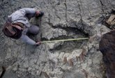 Foto: Encuentran en Bolivia la huella de dinosaurio más grande de la historia