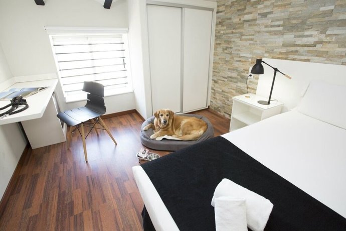 Vacaciones con mascotas en Casual Hoteles