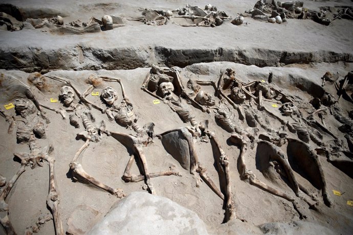 Esqueletos encontrados en una excavación en el sur de Atenas