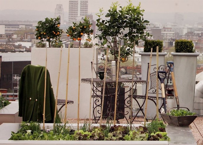 Los huertos urbanos toman las ciudades