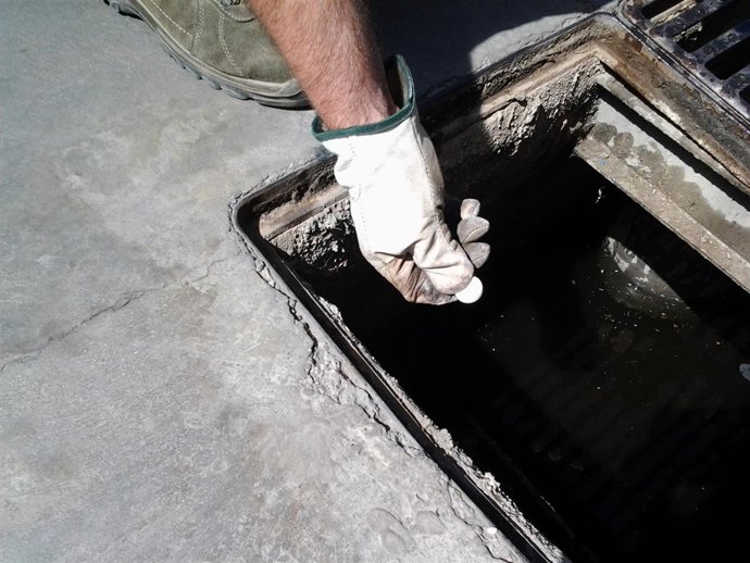 Mosquitos en málaga