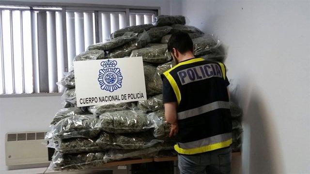 Marihuana intervenida