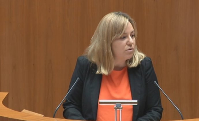 La procuradora de Ciudadanos en Castilla y León, Belén Rosado 