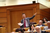 PNV critica que el PP "obvie" a CDC en el Senado y dice que es "contrario" al Reglamento