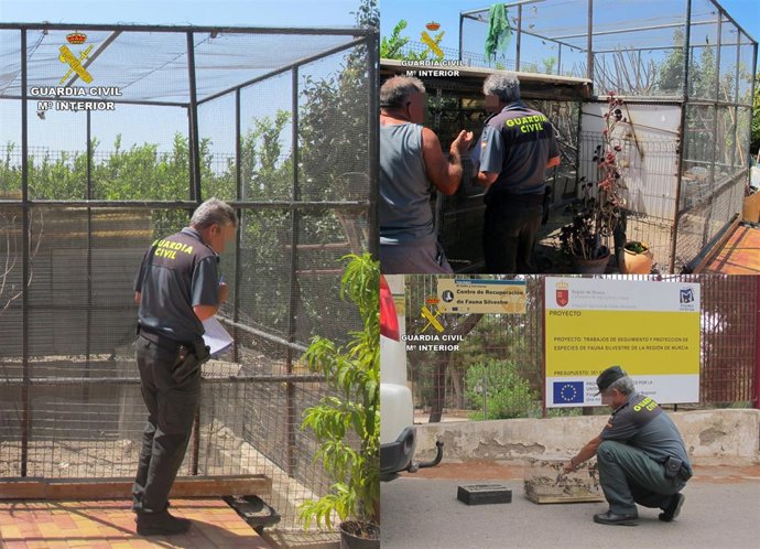 La Guardia Civil recupera más de medio centenar de aves fringílidas 