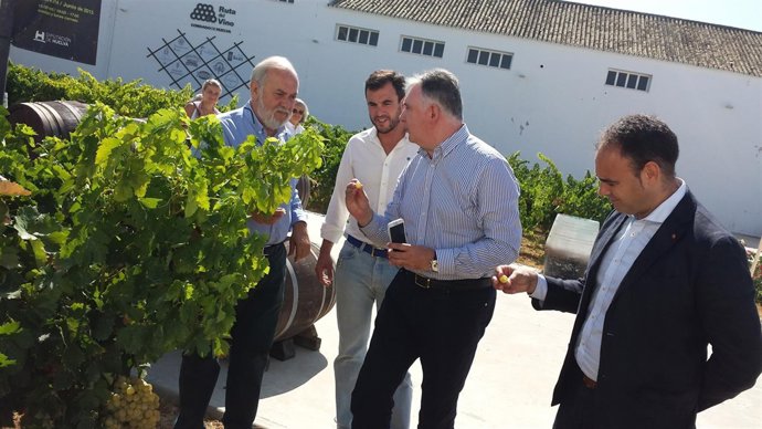 Centro de interpretación del vino