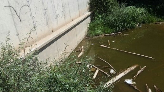 Embarcadero de Logroño en mal estado