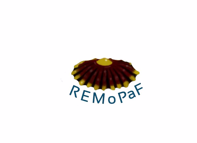 Logo Remopaf