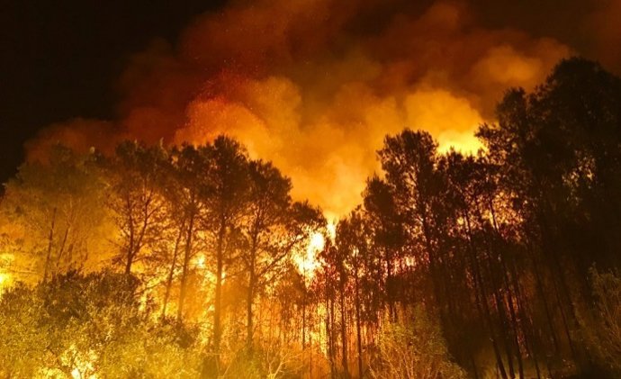 Imagen de un incendio forestal