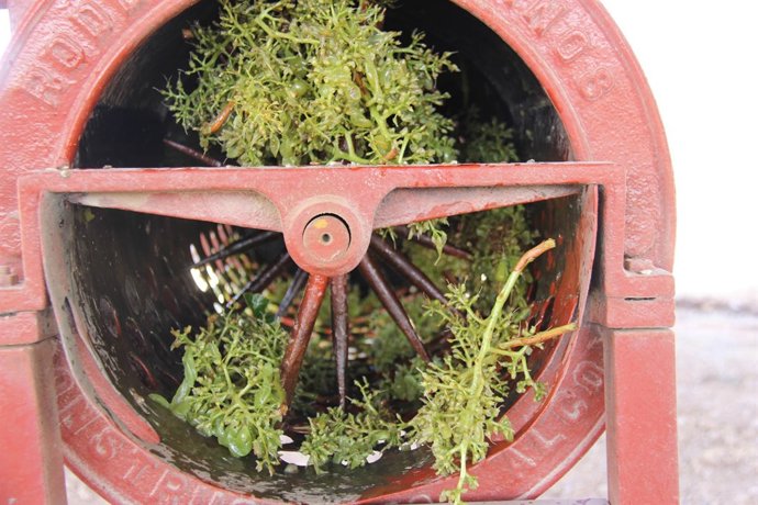 Parra Family Organic - producción de vino ecológico 