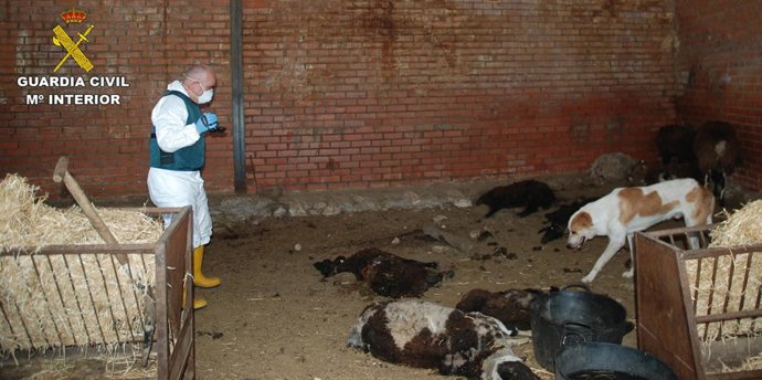 Explotación ganadera