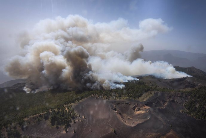 Incendio forestal de La Palma