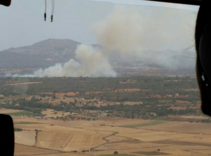 Incendio forestal en Petra