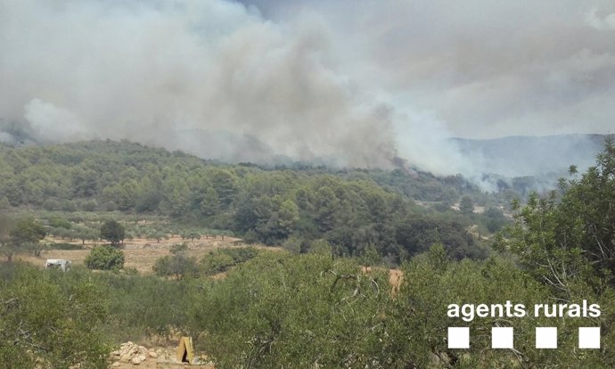 Incendio La Pobla de Montornès (Tarragona)