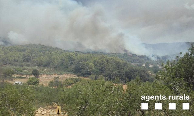 Incendio La Pobla de Montornès (Tarragona)