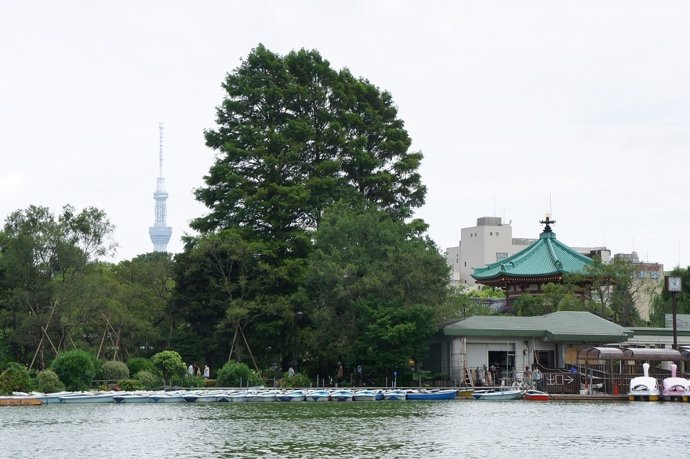 NP Los Mejores Parques Urbanos De Tokio Para Despedir El Verano