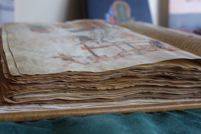 Edición del Manuscrito Voynich