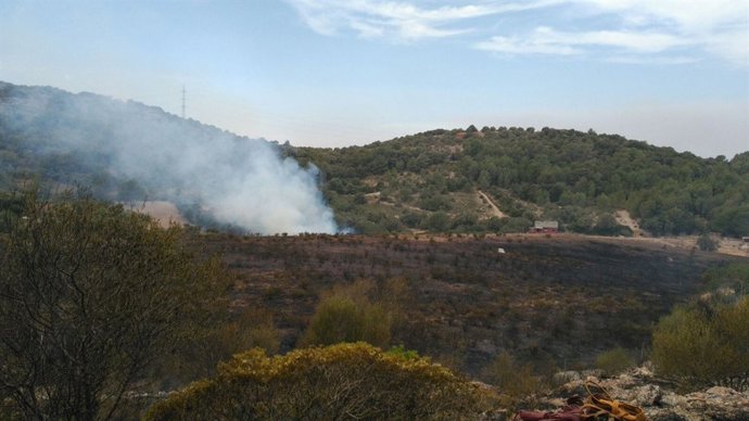 Incendio Forestal en Manacor