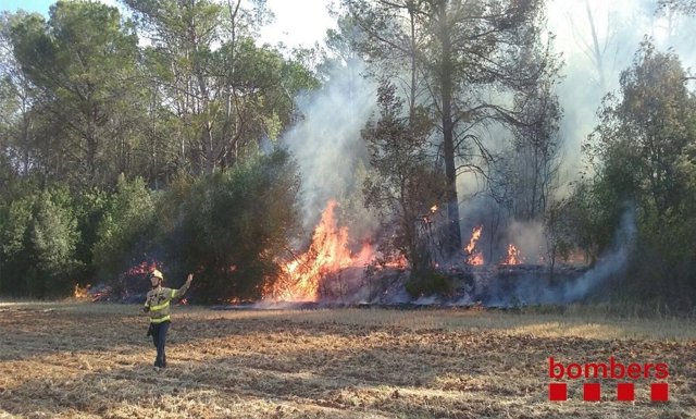 Bombero ante el incendio de Saus, Camallera i Llampaies (Girona)