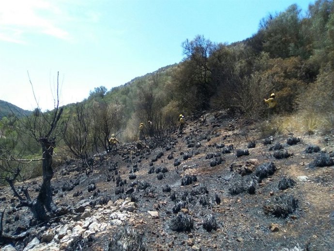 Incendio forestal en Petra