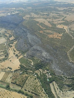 Imagen aérea de superficie quemada en el incendio de Petra