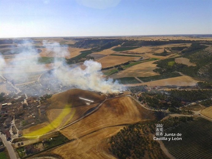 Imagen del fuego de nivel 1 declarado en Olivares de Duero (Valladolid)